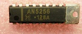 AN5256